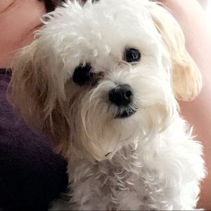 Meet your Posher, Bernadette